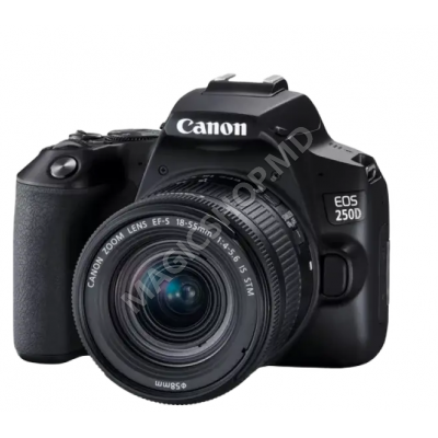 Aparat foto DSLR Canon EOS 250D